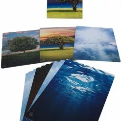 TLR Witness Cards: Share The Gospel And Make Disciples *PRE-ORDER* Latest Pre-order