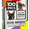 Poptacular 100 PICS - Dog Breeds
