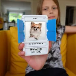 Poptacular 100 PICS - Dog Breeds 6 Poptacular 100 PICS - Dog Breeds