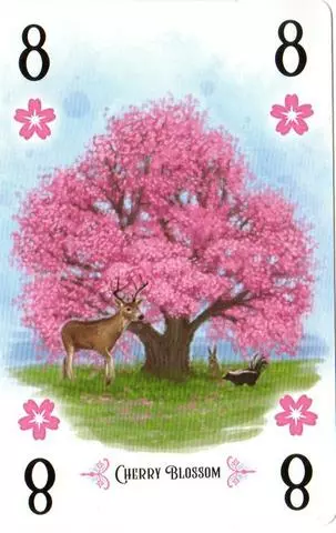 Renegade Game Studios Arboretum: Alternate Art Cherry Blossom Card Board Games 1 Renegade Game Studios Arboretum: Alternate Art Cherry Blossom Card Board Games