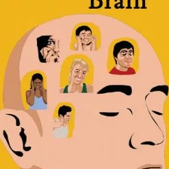 Hamster Press Board Games Bob's Brain