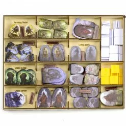 Gaming Trunk - Lion Jaws Organizer Compatible With Gloomhaven: Jaws Of The Lion (Natural Unstained)