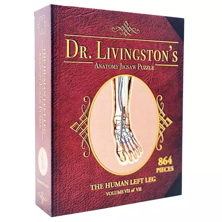 Puzzle - Genius Games - Dr Livingston: Human Left Leg (864 Pieces) All Sale Items 1 Puzzle - Genius Games - Dr Livingston: Human Left Leg (864 Pieces) All Sale Items