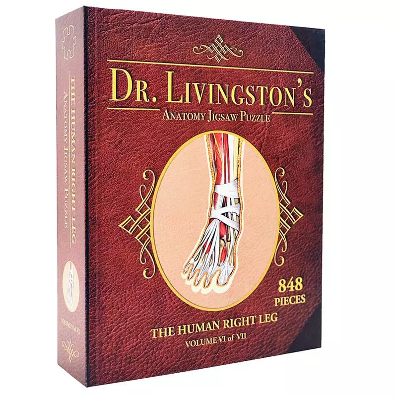 All Sale Items Puzzle - Genius Games - Dr Livingston: Human Right Leg (848 Pieces) 1 All Sale Items Puzzle - Genius Games - Dr Livingston: Human Right Leg (848 Pieces)