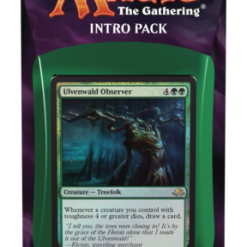 Wizards Of The Coast Magic: The Gathering - Eldritch Moon - Intro Pack - Weapons And Wards