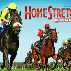 R&R Games Board Games HomeStretch