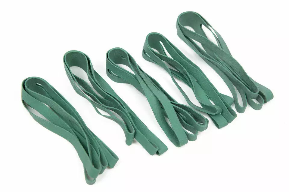 The Broken Token Broken Token - 10" Box Band-Its (5) 1 The Broken Token Broken Token - 10" Box Band-Its (5)