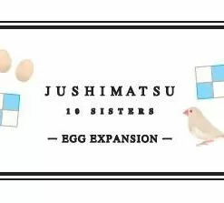 Japon Brand Jushimatsu: Egg Expansion