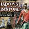 Flying Frog Productions Shadows Of Brimstone: The Scafford Gang Deluxe Enemy Pack Board Games