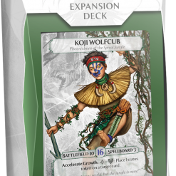 Plaid Hat Games Board Games Ashes: The Boy Among Wolves