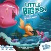 The Flying Games Little Big Fish
