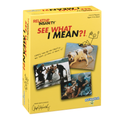 PlayMonster Relative Insanity: See What I Mean?