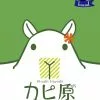 OKAZU Brand Board Games Capybara 'n' Capybara (Japanese Import)