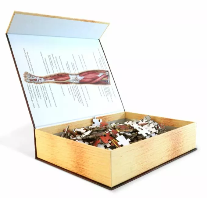 All Sale Items Puzzle - Genius Games - Dr Livingston: Human Right Leg (848 Pieces) 3 All Sale Items Puzzle - Genius Games - Dr Livingston: Human Right Leg (848 Pieces)