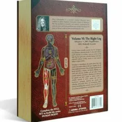 All Sale Items Puzzle - Genius Games - Dr Livingston: Human Right Leg (848 Pieces)