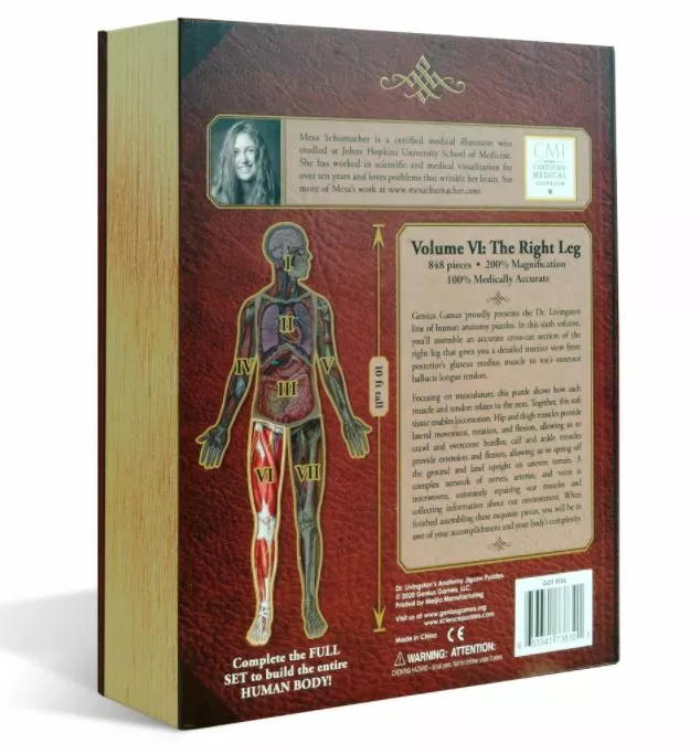 All Sale Items Puzzle - Genius Games - Dr Livingston: Human Right Leg (848 Pieces) 2 All Sale Items Puzzle - Genius Games - Dr Livingston: Human Right Leg (848 Pieces)