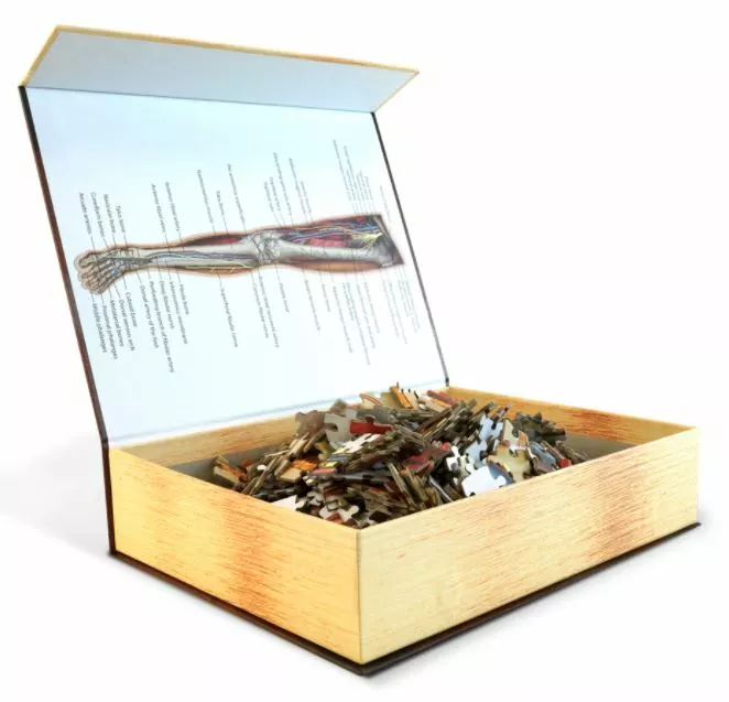 Puzzle - Genius Games - Dr Livingston: Human Left Leg (864 Pieces) All Sale Items 3 Puzzle - Genius Games - Dr Livingston: Human Left Leg (864 Pieces) All Sale Items