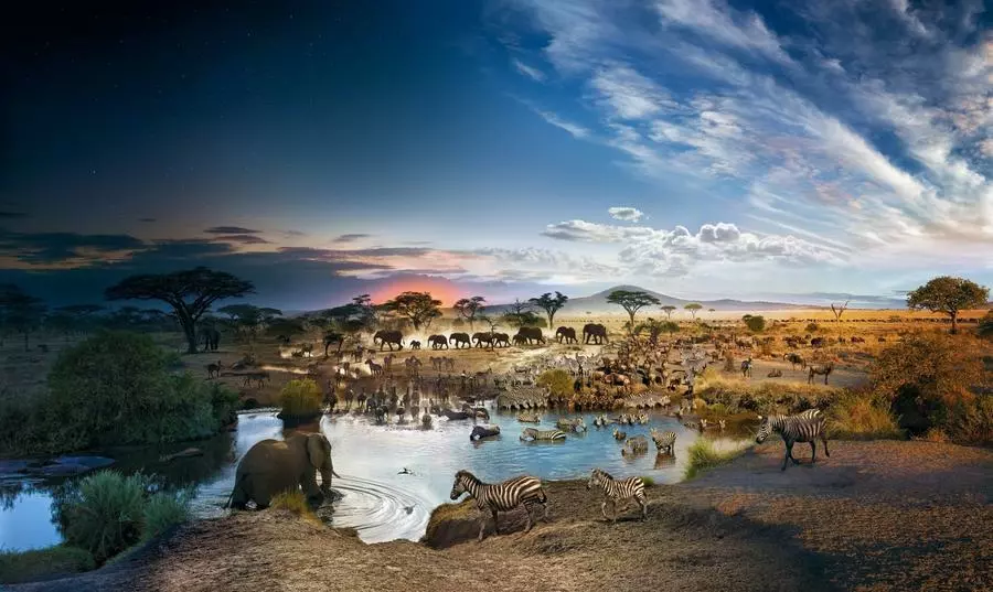 Puzzle - 4D Cityscape - Stephen Wilkes Serengeti National Park, Day To Night (1000 Pieces) May 16-22, 2022 1 Puzzle - 4D Cityscape - Stephen Wilkes Serengeti National Park, Day To Night (1000 Pieces) May 16-22, 2022