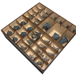 Go7 Gaming - BLOODB-003 For Bloodborne: The Board Game (Large Expansion Boxes)